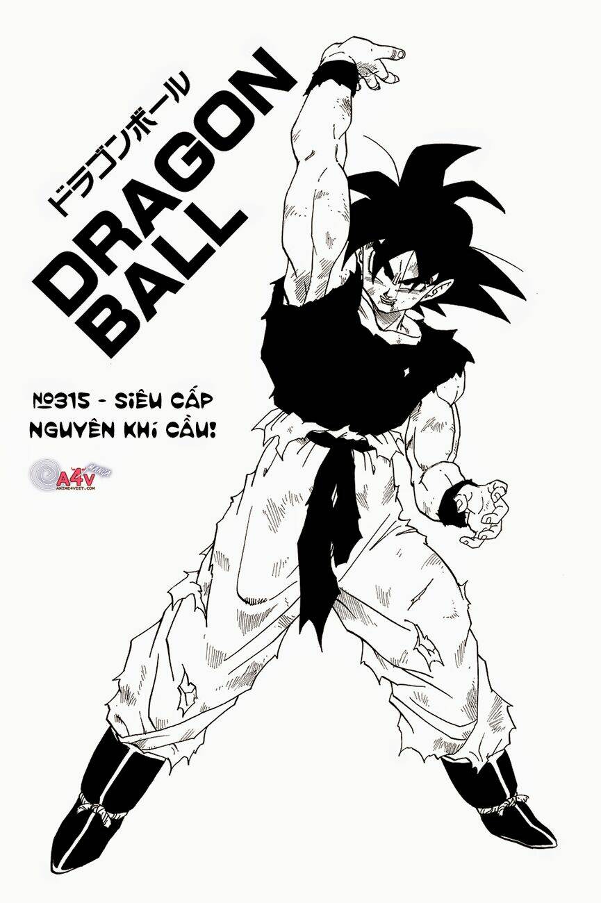 Dragon Ball – Bảy Viên Ngọc Rồng Chapter 315 - Trang 2