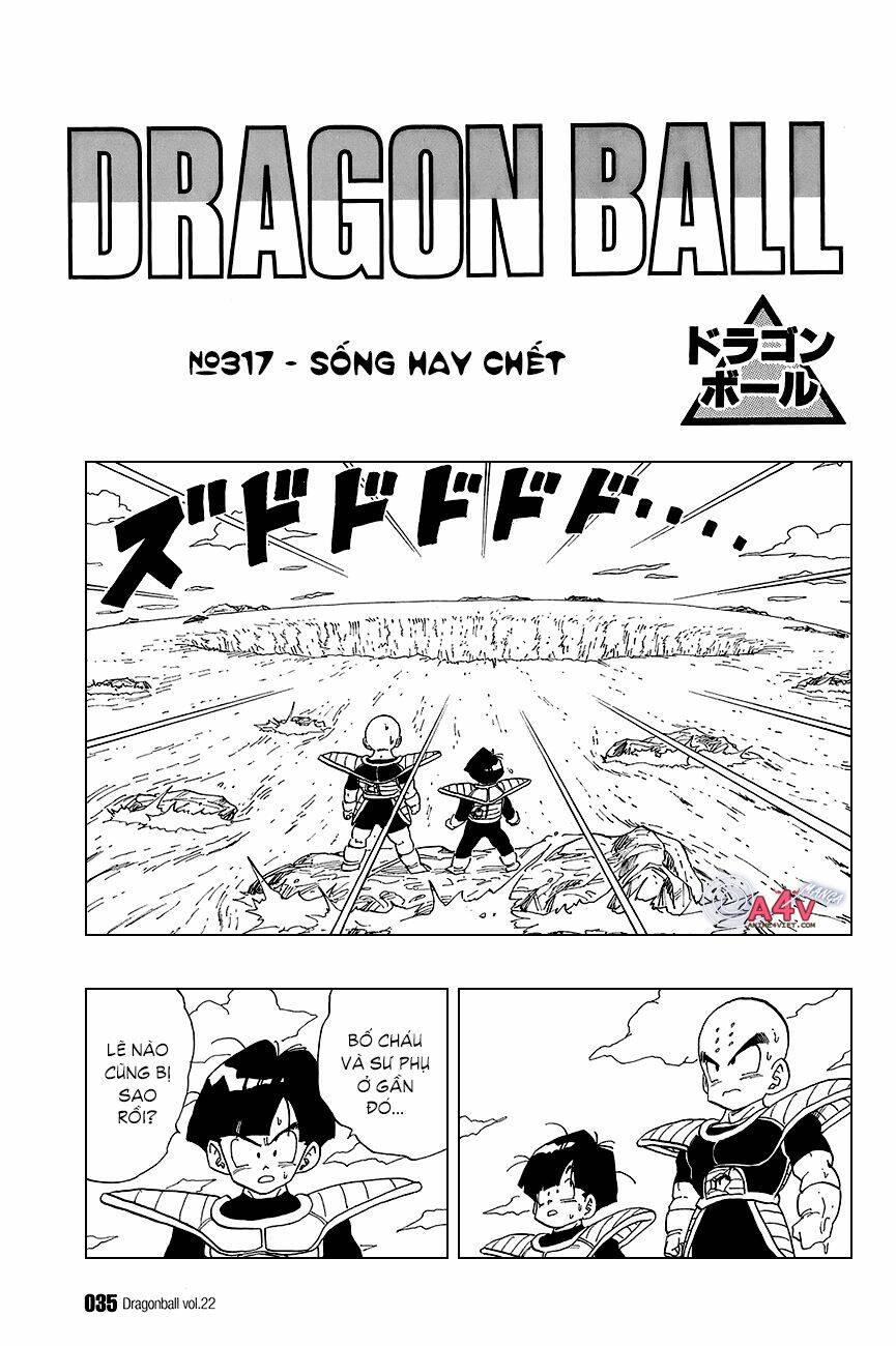 Dragon Ball – Bảy Viên Ngọc Rồng Chapter 317 - Trang 2