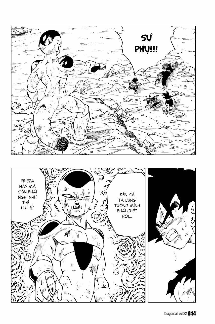 Dragon Ball – Bảy Viên Ngọc Rồng Chapter 317 - Trang 2