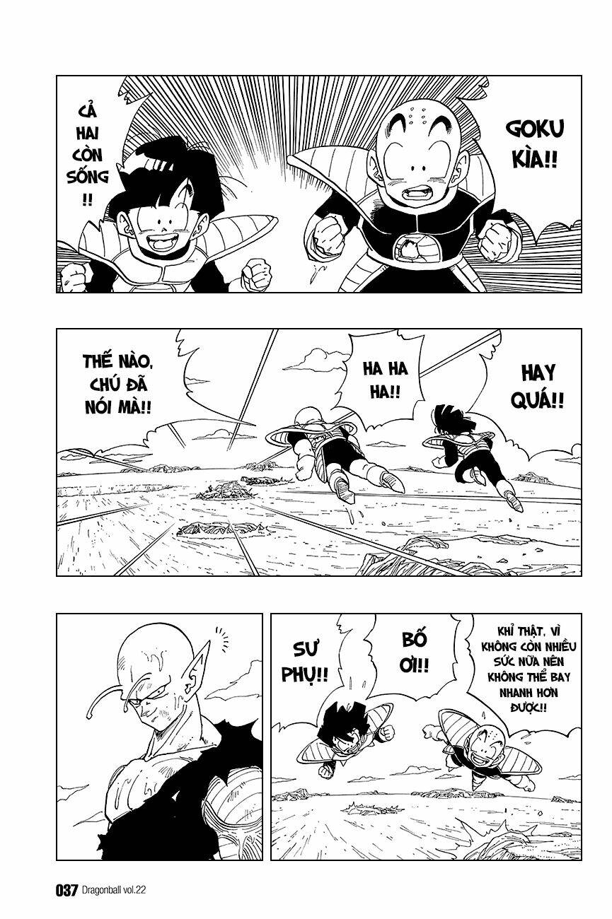 Dragon Ball – Bảy Viên Ngọc Rồng Chapter 317 - Trang 2