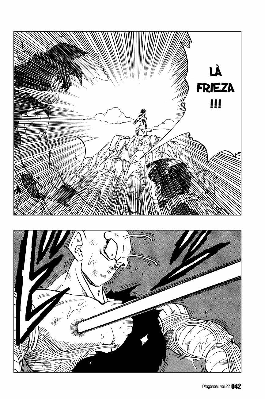 Dragon Ball – Bảy Viên Ngọc Rồng Chapter 317 - Trang 2