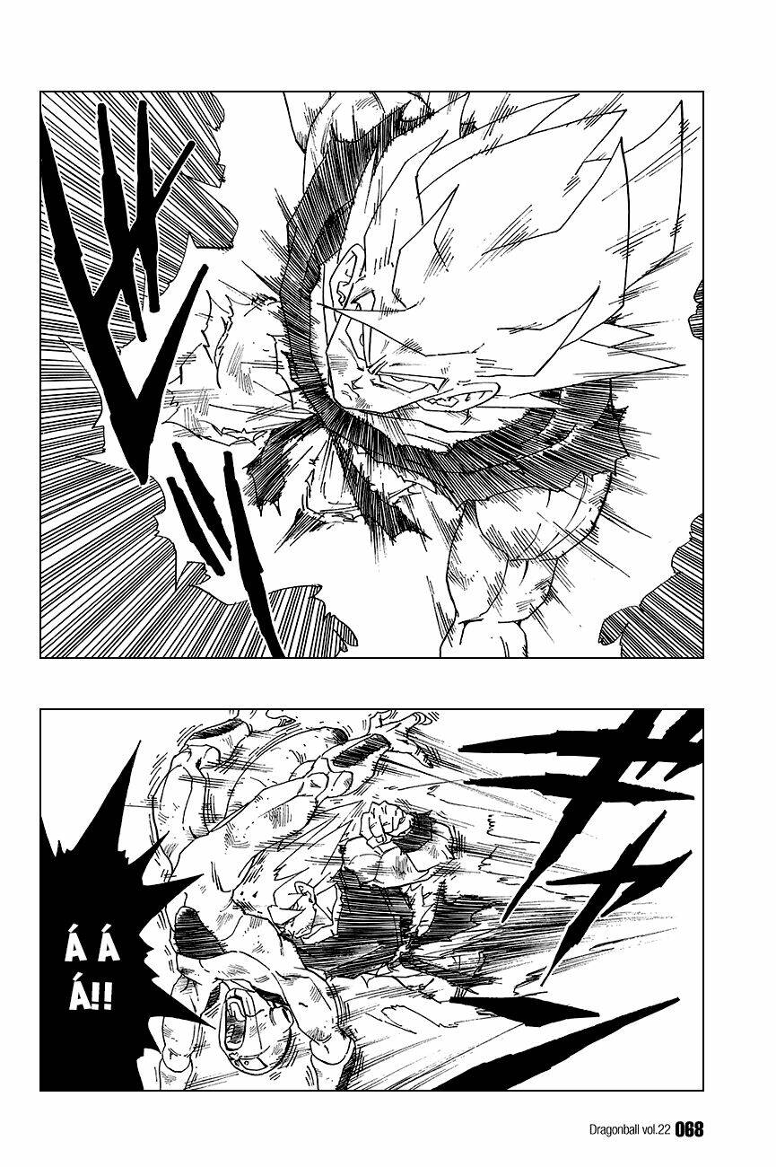 Dragon Ball – Bảy Viên Ngọc Rồng Chapter 319 - Trang 2