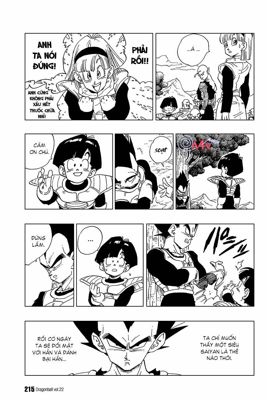 Dragon Ball – Bảy Viên Ngọc Rồng Chapter 329 - Trang 2