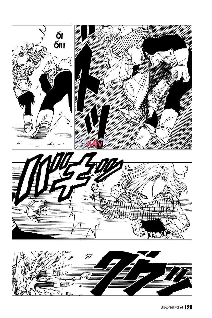 Dragon Ball – Bảy Viên Ngọc Rồng Chapter 352 - Trang 2