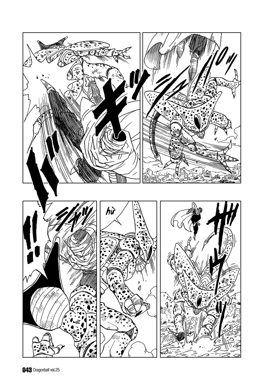 Dragon Ball – Bảy Viên Ngọc Rồng Chapter 362 - Trang 2