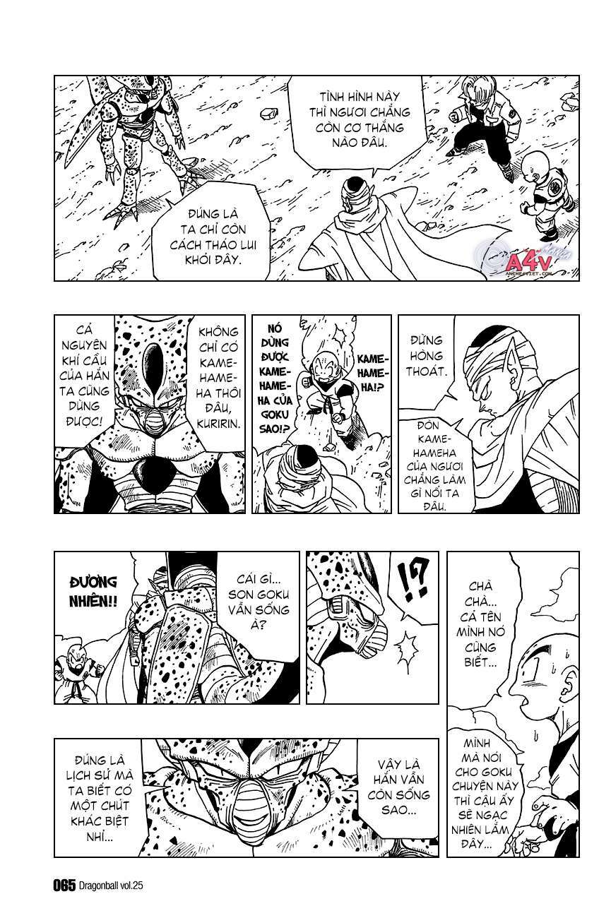 Dragon Ball – Bảy Viên Ngọc Rồng Chapter 364 - Trang 2