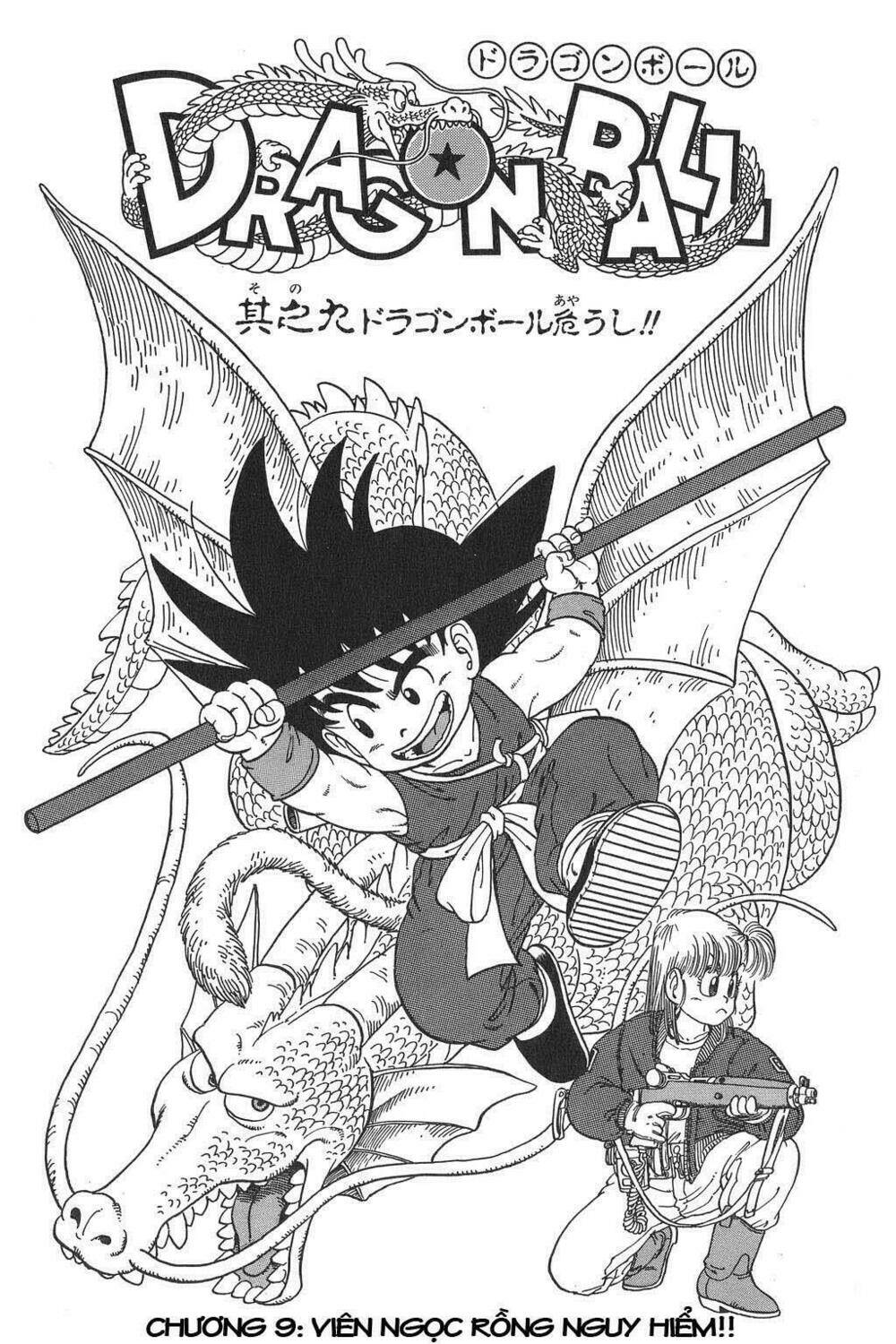 Dragon Ball – Bảy Viên Ngọc Rồng Chapter 9 - Trang 2