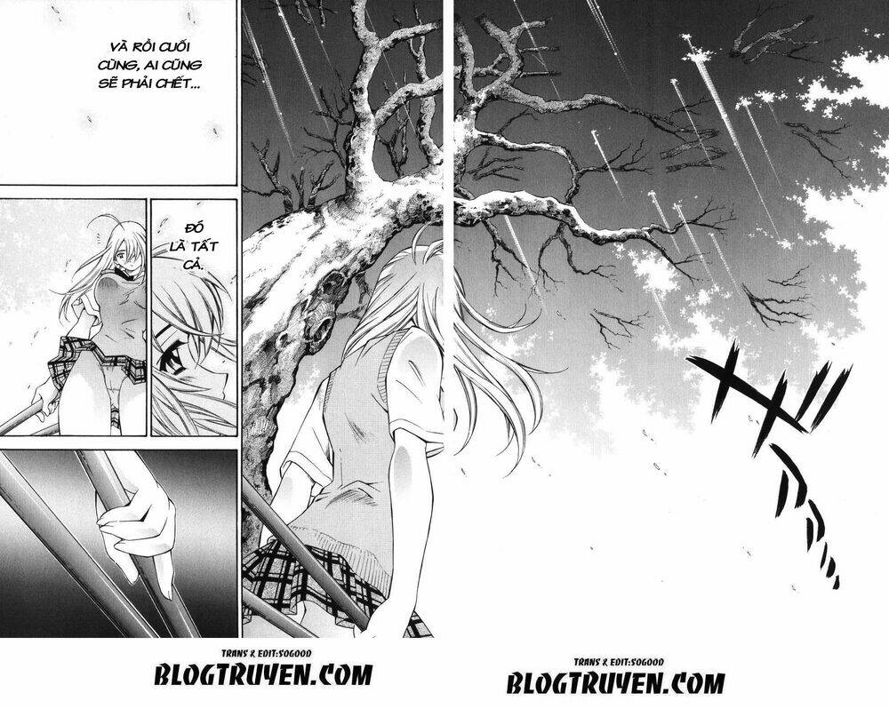 Dragon Girl – Ikkitousen Chapter 39 - Trang 2