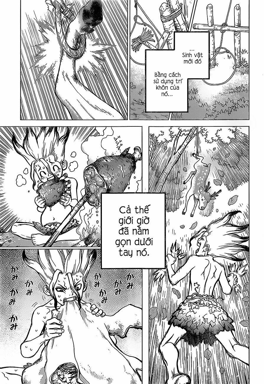 Dr.Stone – Hồi Sinh Thế Giới Chapter 13 - Trang 2