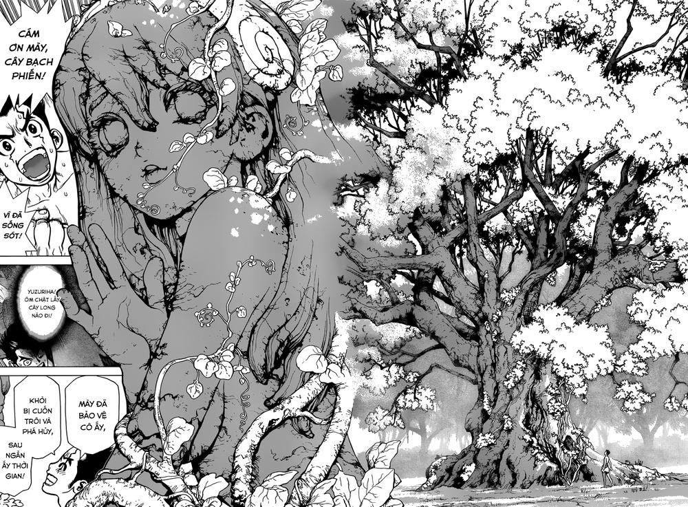 Dr.Stone Chapter 1 - Trang 2