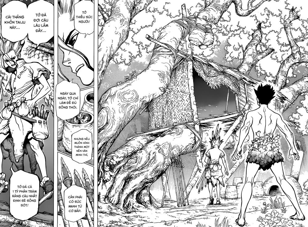 Dr.Stone Chapter 1 - Trang 2