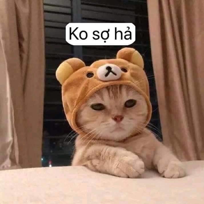 Dr.Stone Chapter 114 - Trang 2