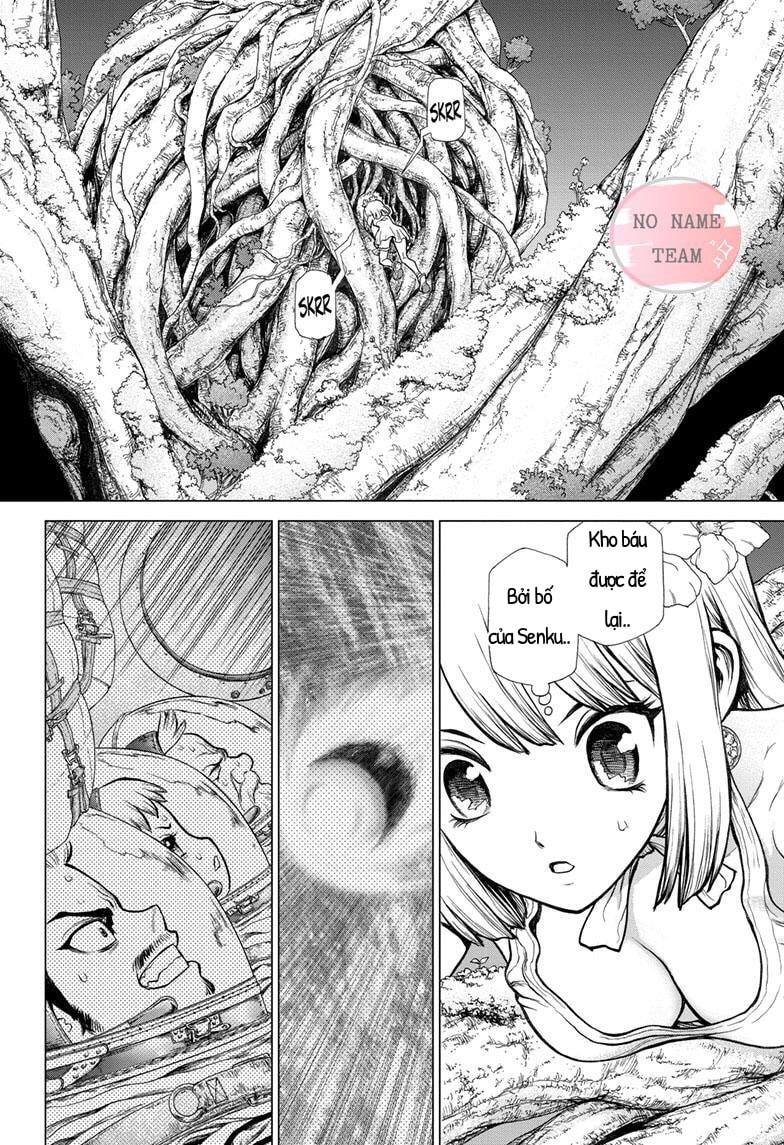 Dr.Stone Chapter 114 - Trang 2