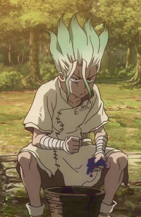 Dr.Stone Chapter 115 - Trang 2