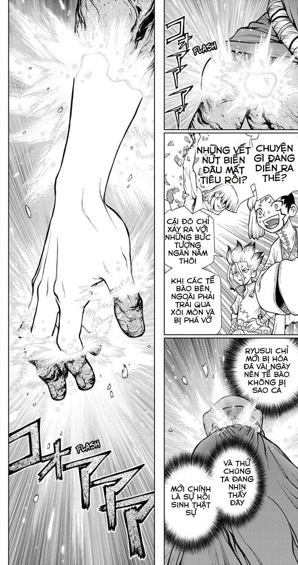 Dr.Stone Chapter 116 - Trang 2
