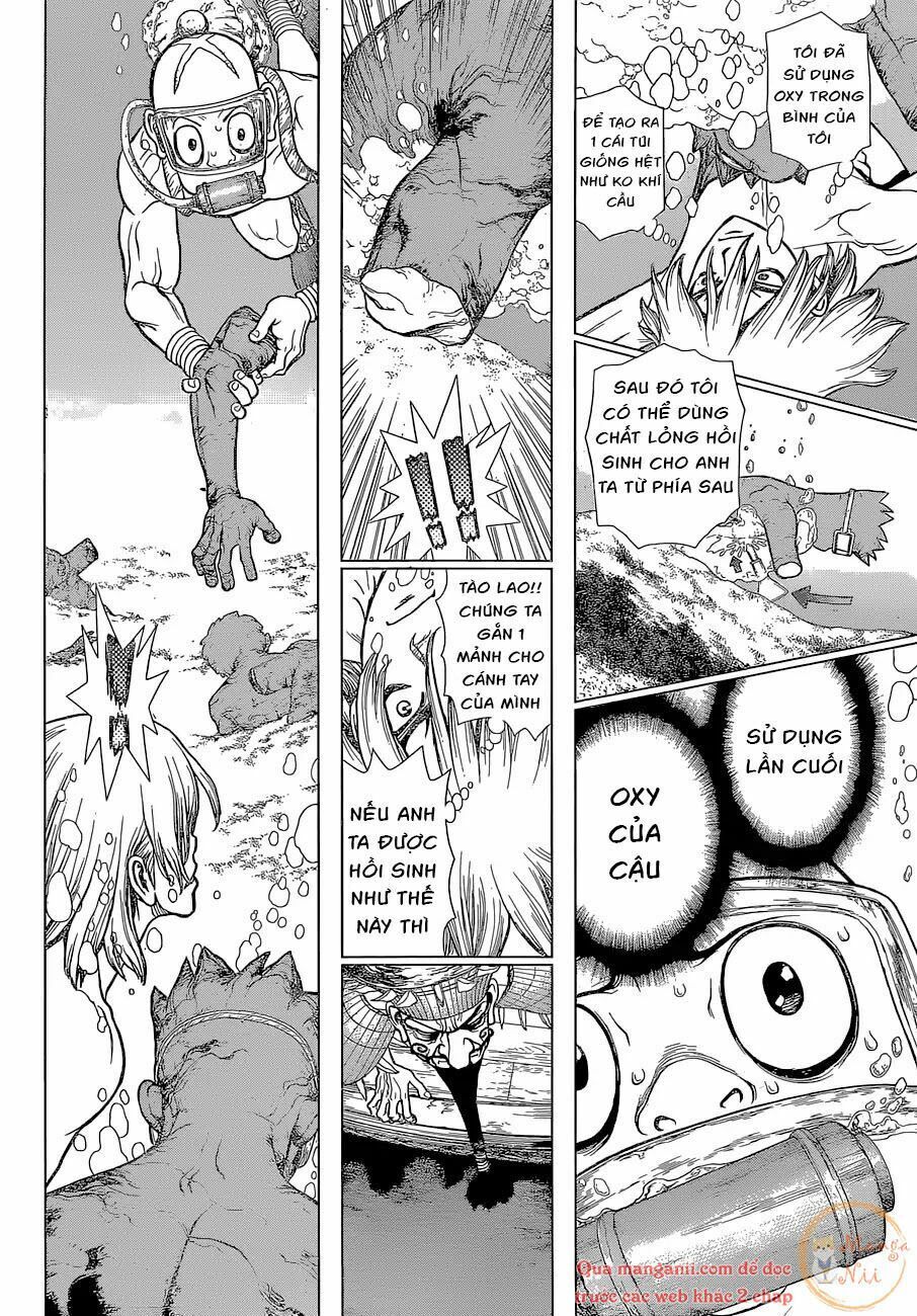 Dr.Stone Chapter 118 - Trang 2