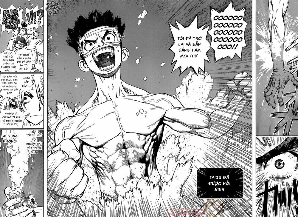 Dr.Stone Chapter 118 - Trang 2