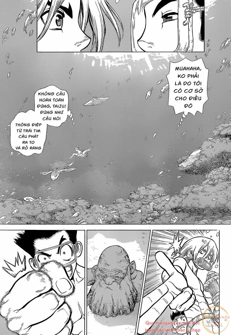 Dr.Stone Chapter 118 - Trang 2