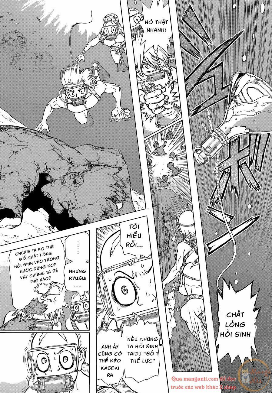 Dr.Stone Chapter 118 - Trang 2