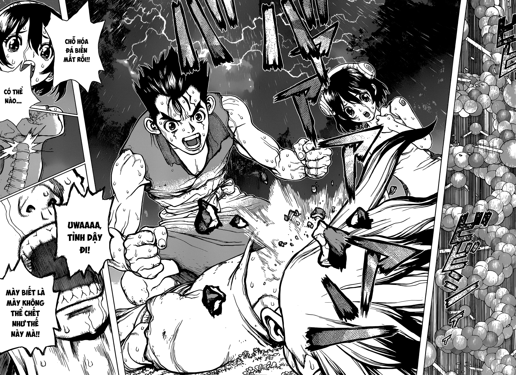 Dr.Stone Chapter 12 - Trang 2