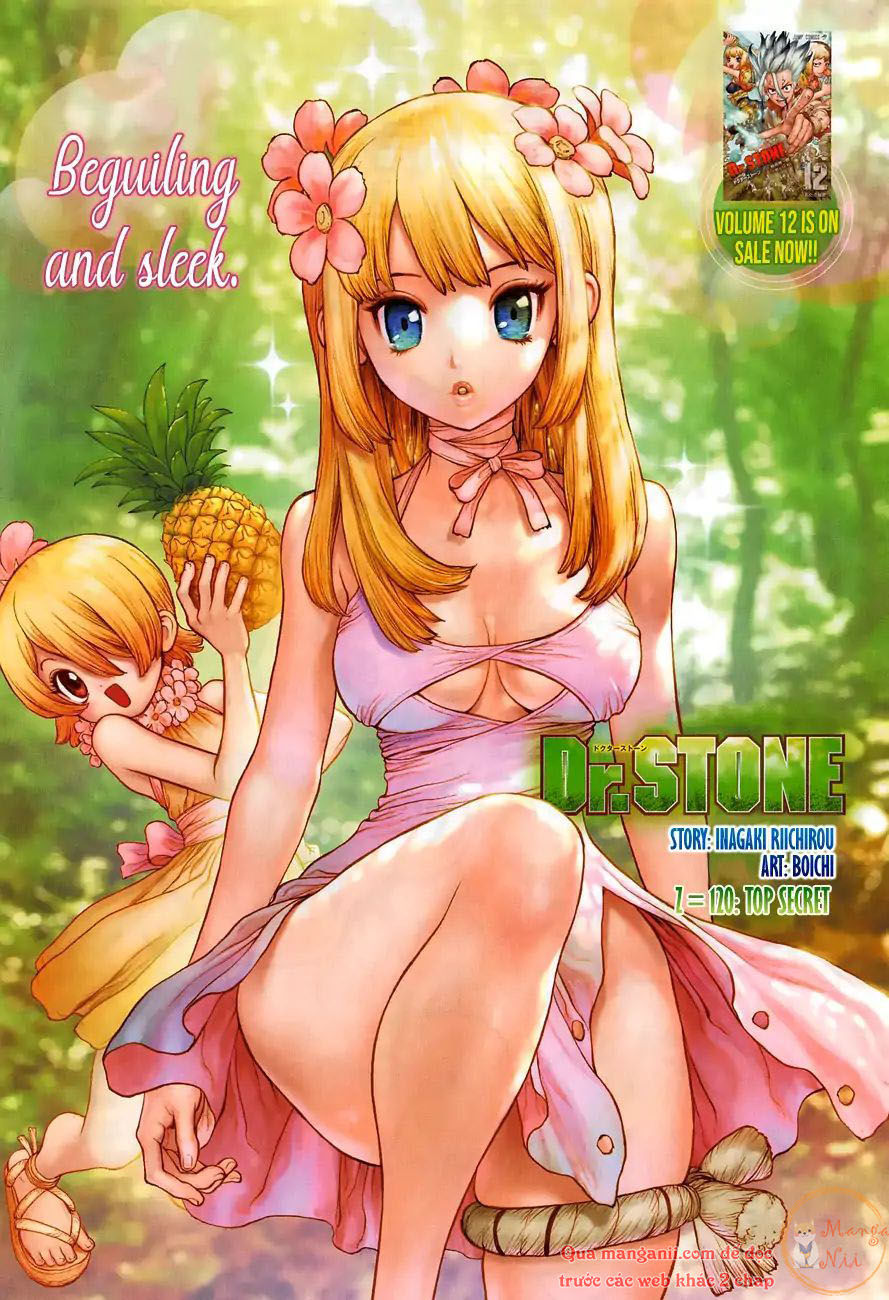 Dr.Stone Chapter 120 - Trang 2