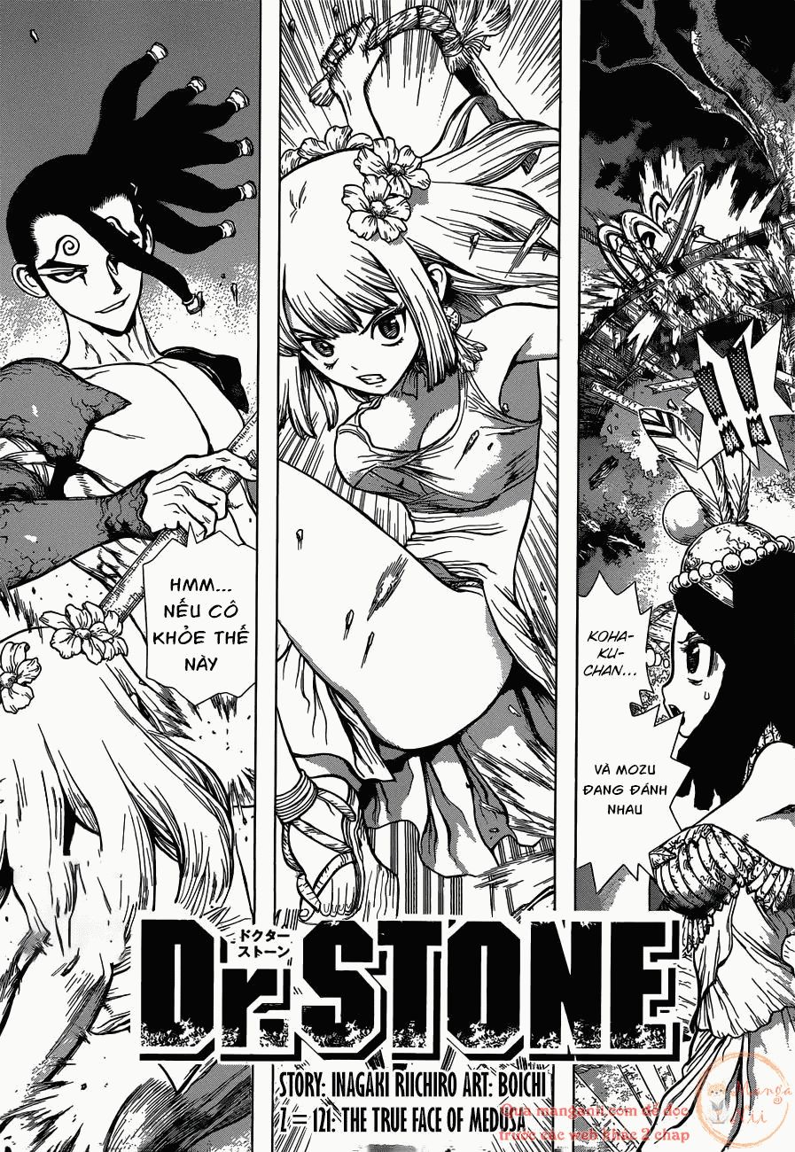 Dr.Stone Chapter 121 - Trang 2