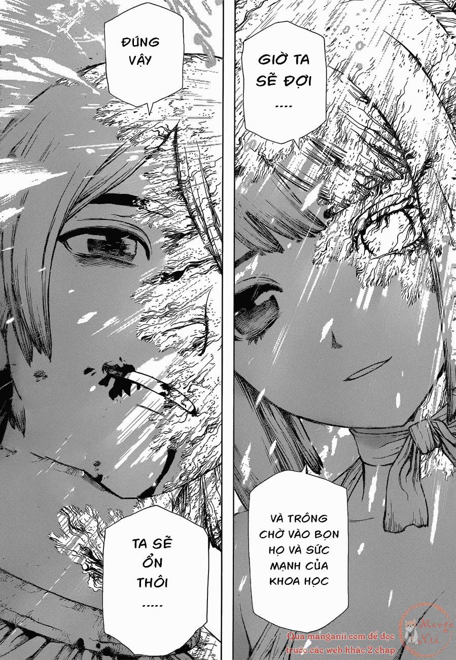 Dr.Stone Chapter 121 - Trang 2