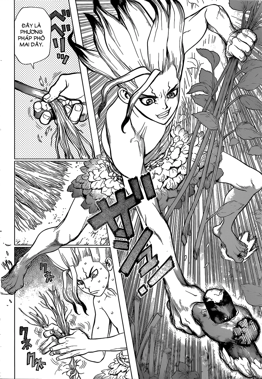 Dr.Stone Chapter 13 - Trang 2