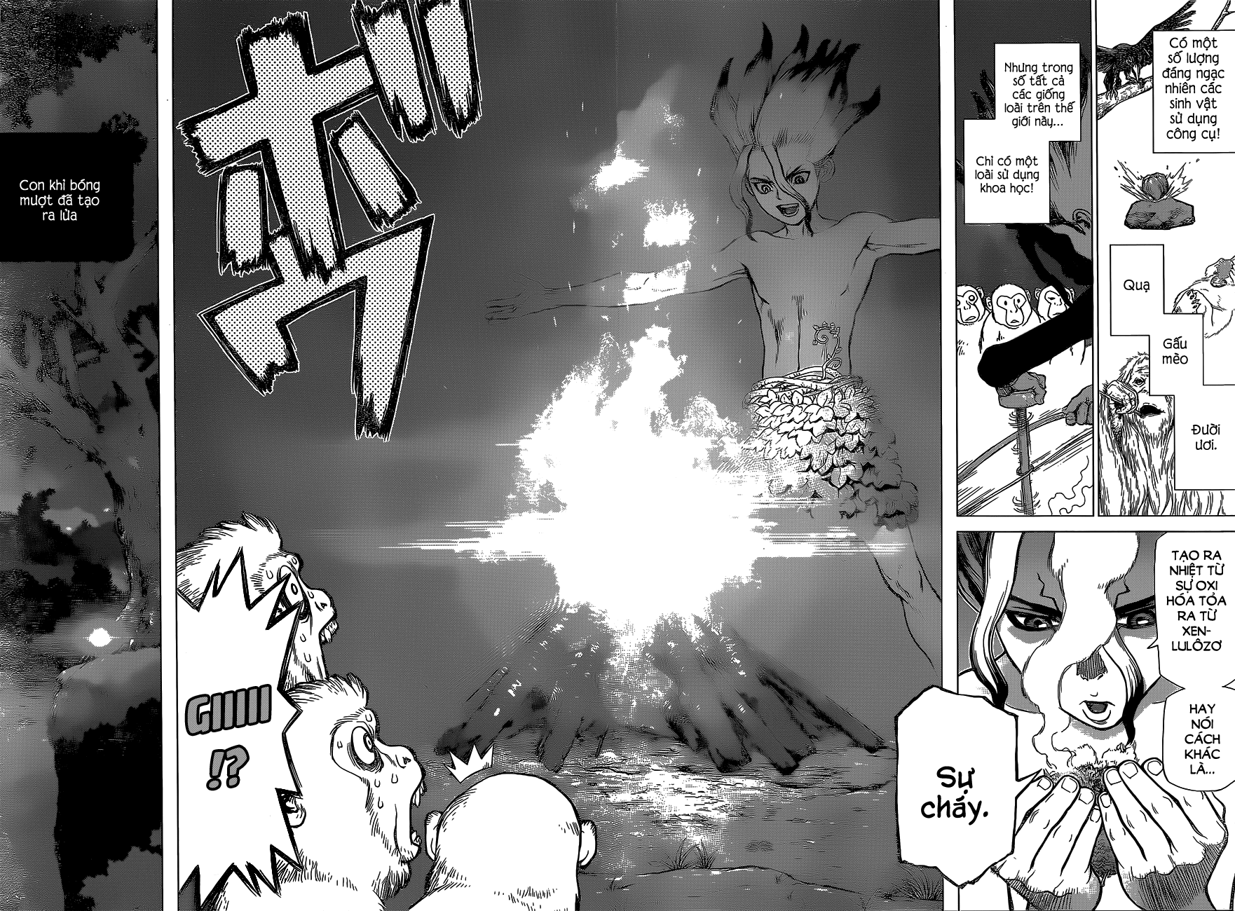 Dr.Stone Chapter 13 - Trang 2