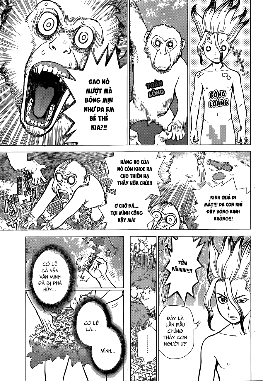 Dr.Stone Chapter 13 - Trang 2