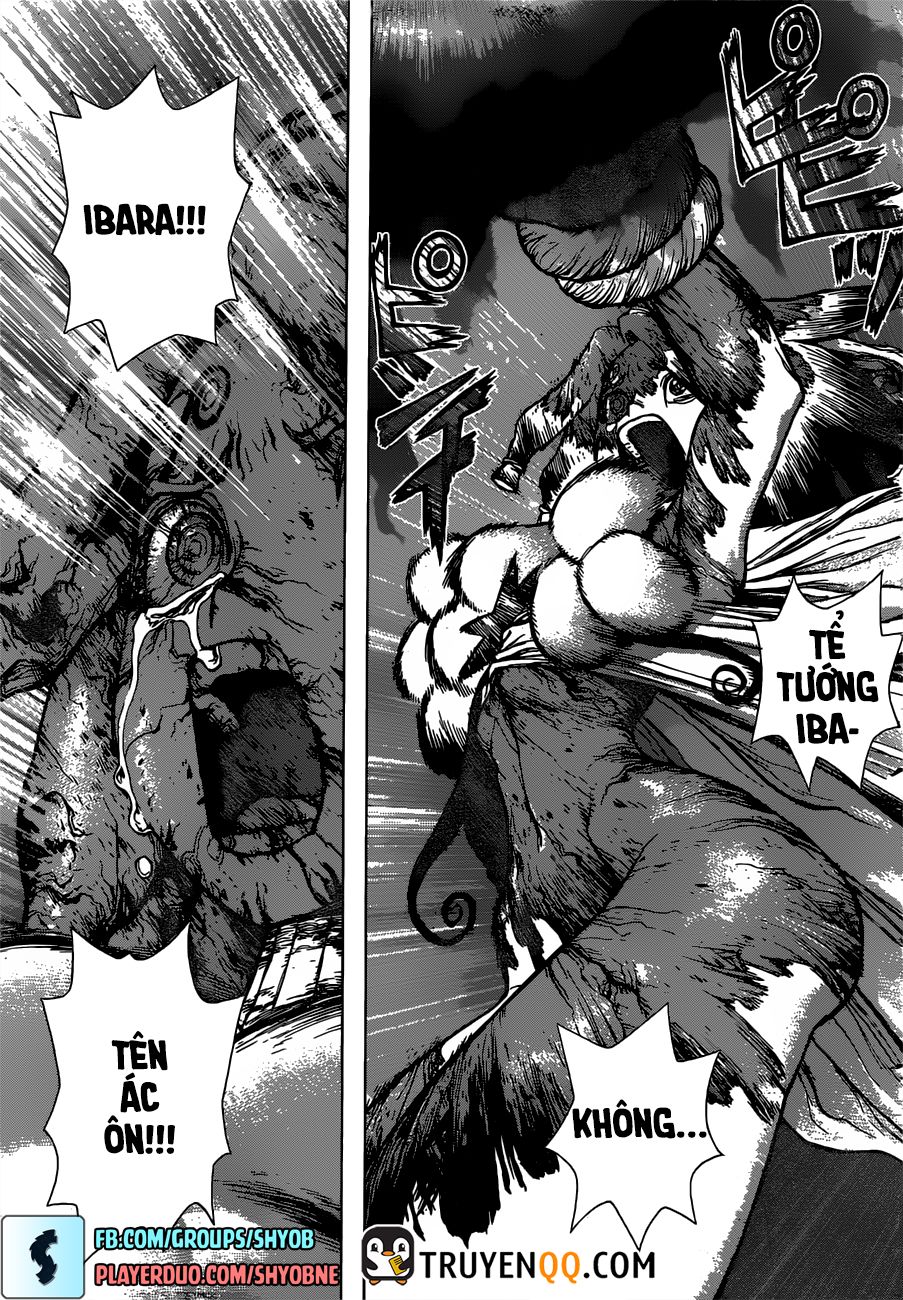 Dr.Stone Chapter 131 - Trang 2