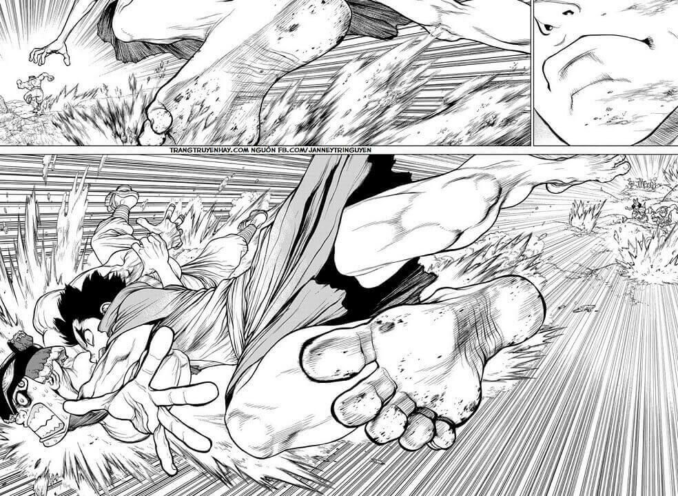 Dr.Stone Chapter 133 - Trang 2