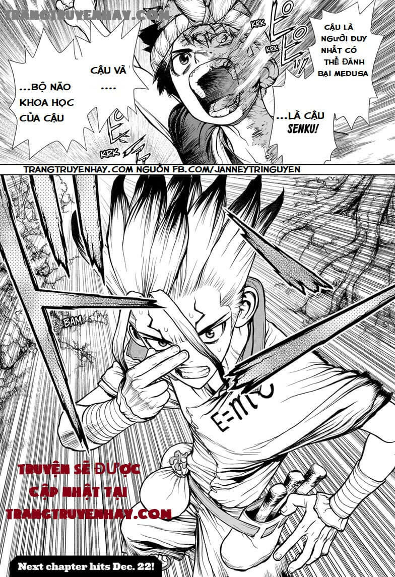 Dr.Stone Chapter 133 - Trang 2