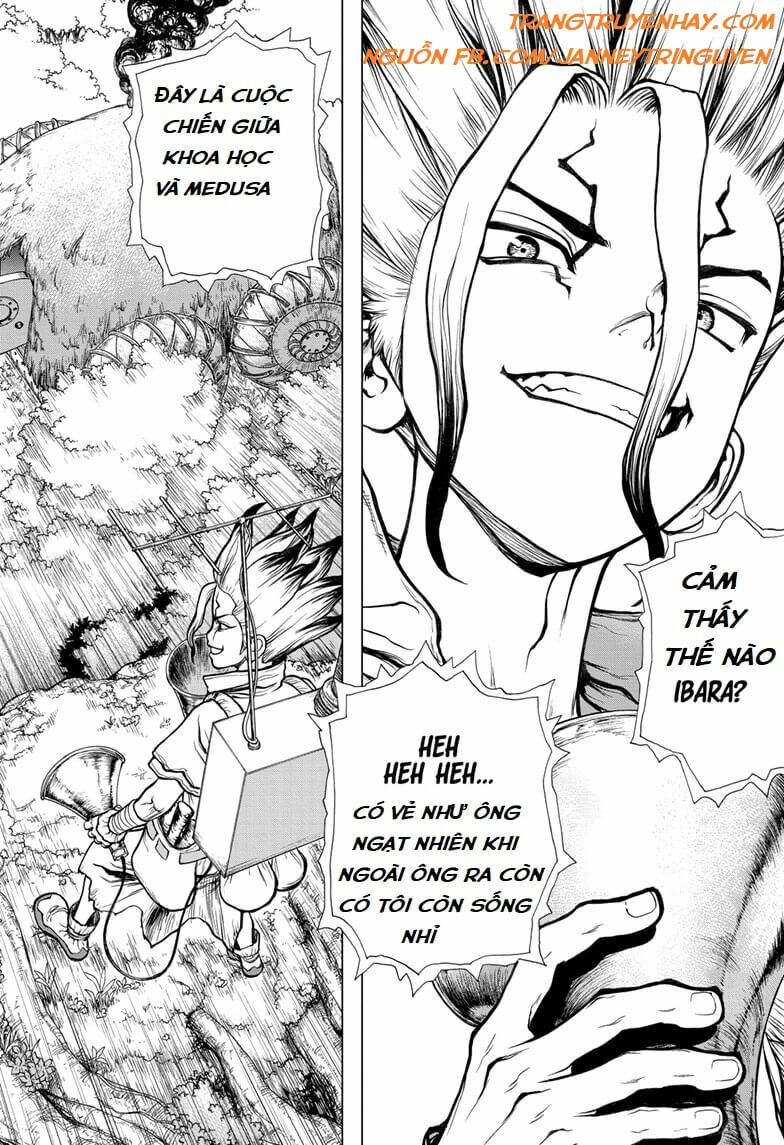 Dr.Stone Chapter 134 - Trang 2