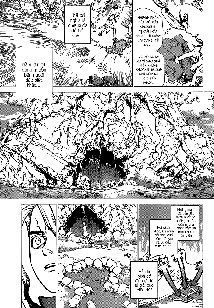 Dr.Stone Chapter 14 - Trang 2