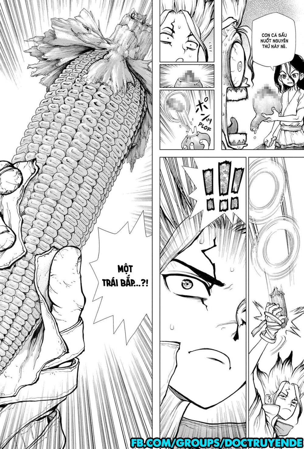 Dr.Stone Chapter 148 - Trang 2