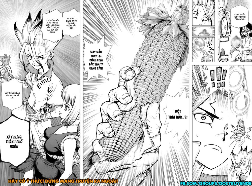 Dr.Stone Chapter 148 - Trang 2