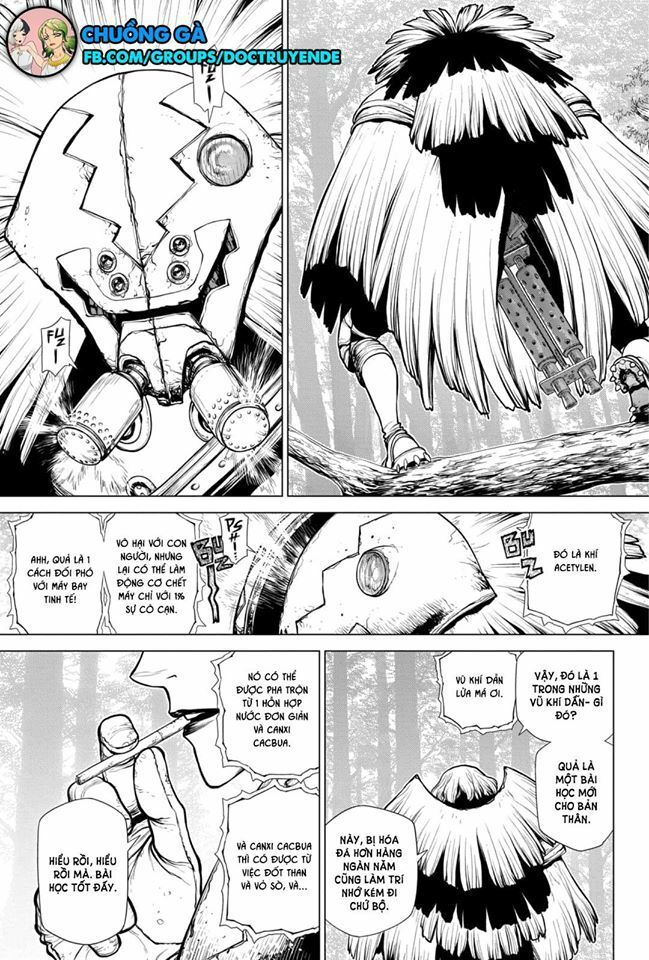 Dr.Stone Chapter 150 - Trang 2