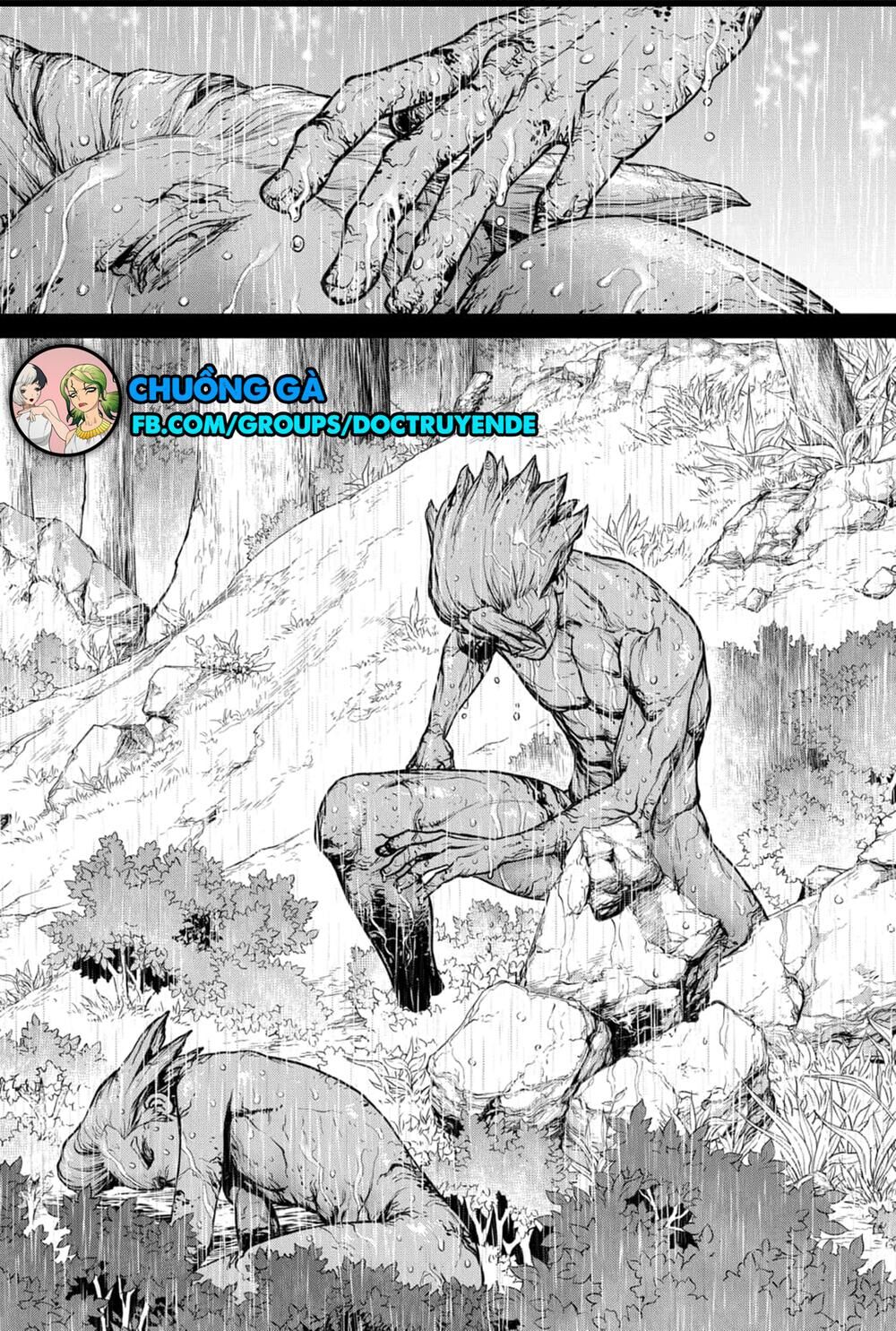 Dr.Stone Chapter 157 - Trang 2