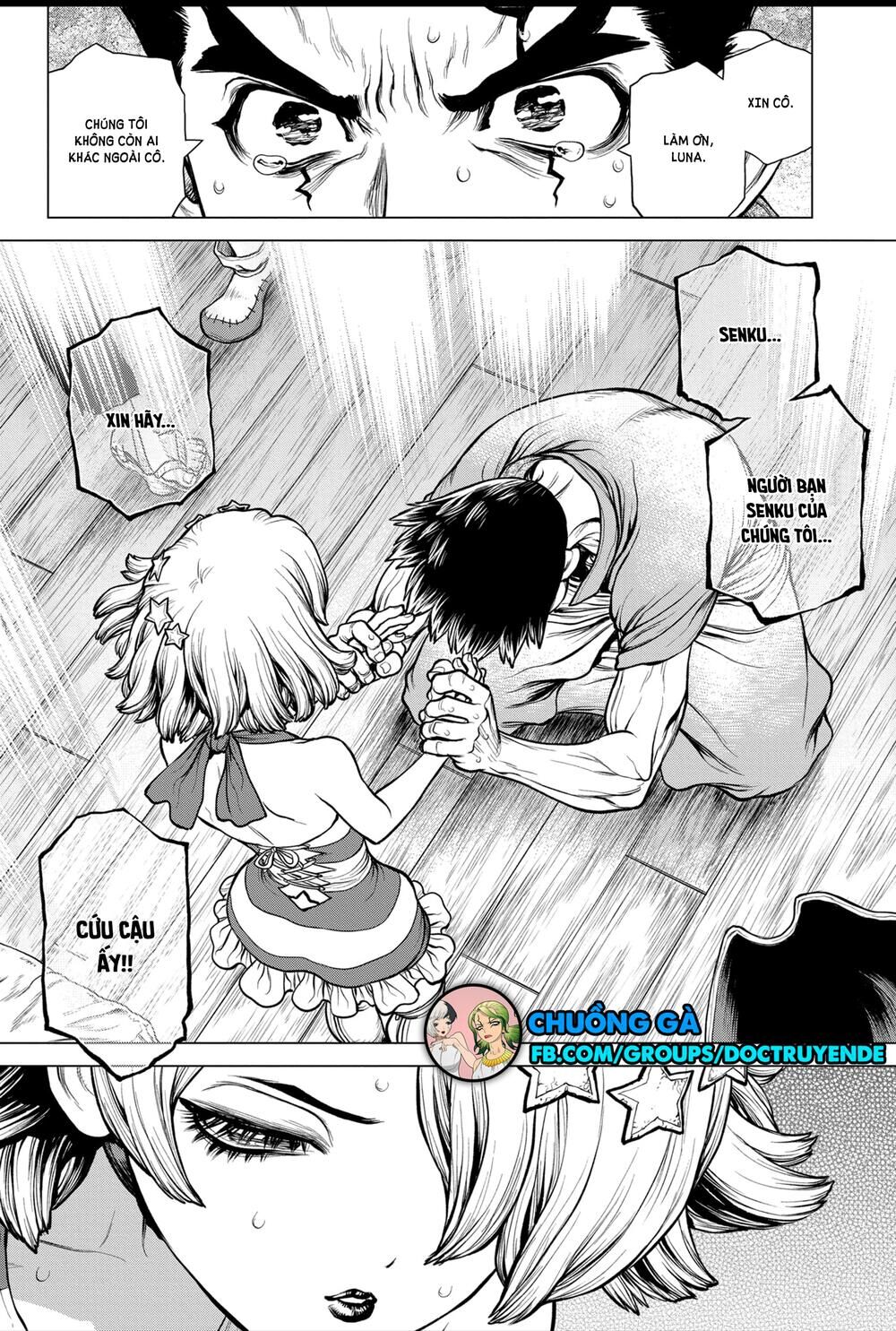 Dr.Stone Chapter 160 - Trang 2