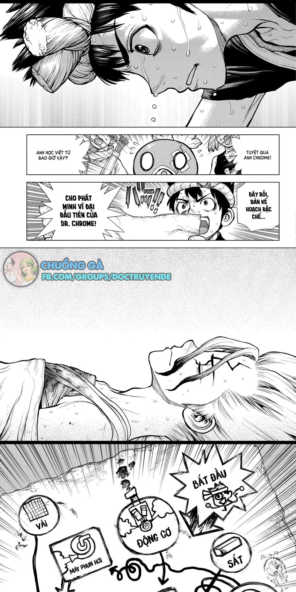 Dr.Stone Chapter 161 - Trang 2