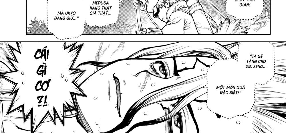 Dr.Stone Chapter 161 - Trang 2