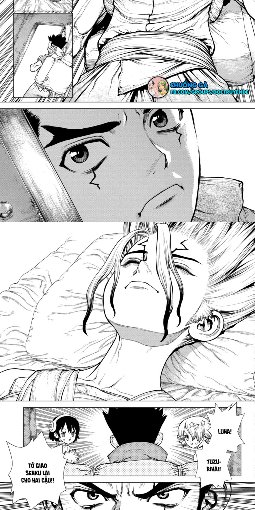 Dr.Stone Chapter 162 - Trang 2