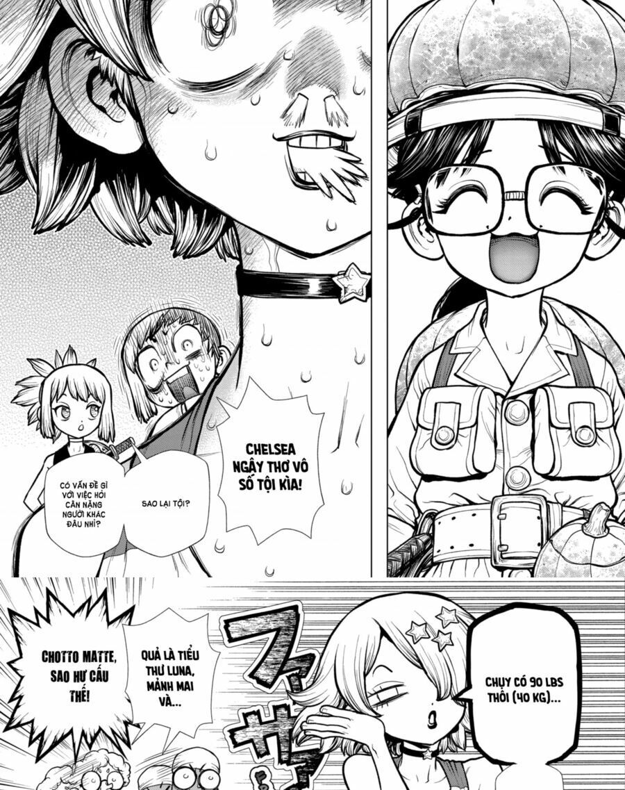 Dr.Stone Chapter 178 - Trang 2