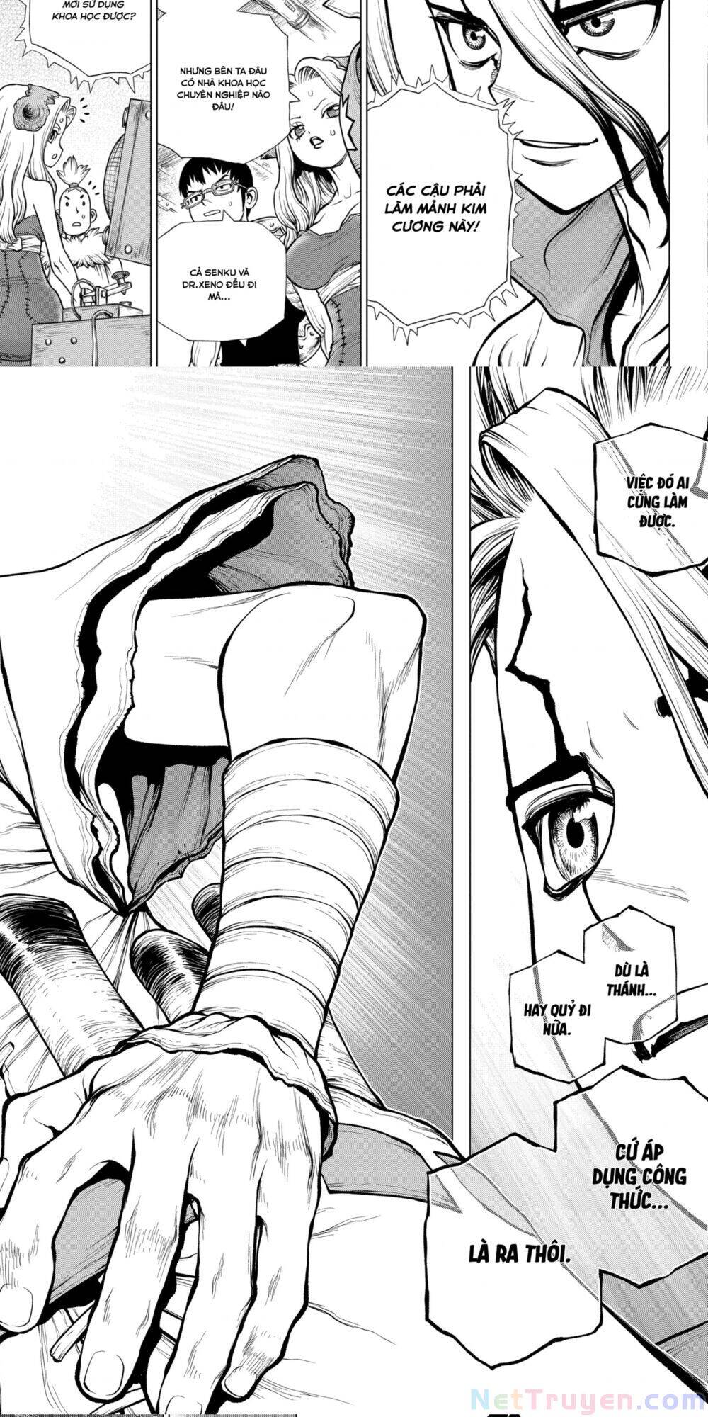 Dr.Stone Chapter 182 - Trang 2