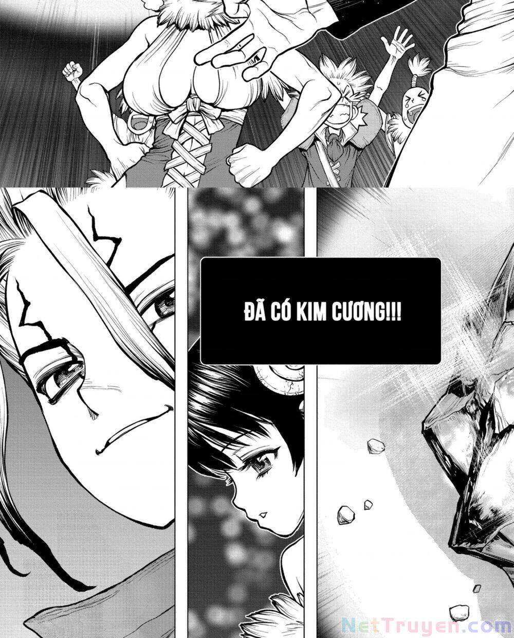 Dr.Stone Chapter 182 - Trang 2