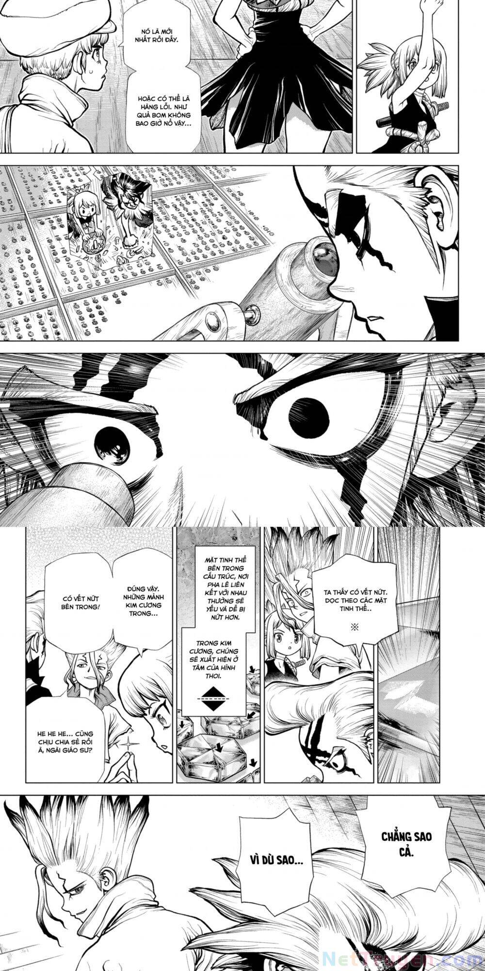 Dr.Stone Chapter 182 - Trang 2