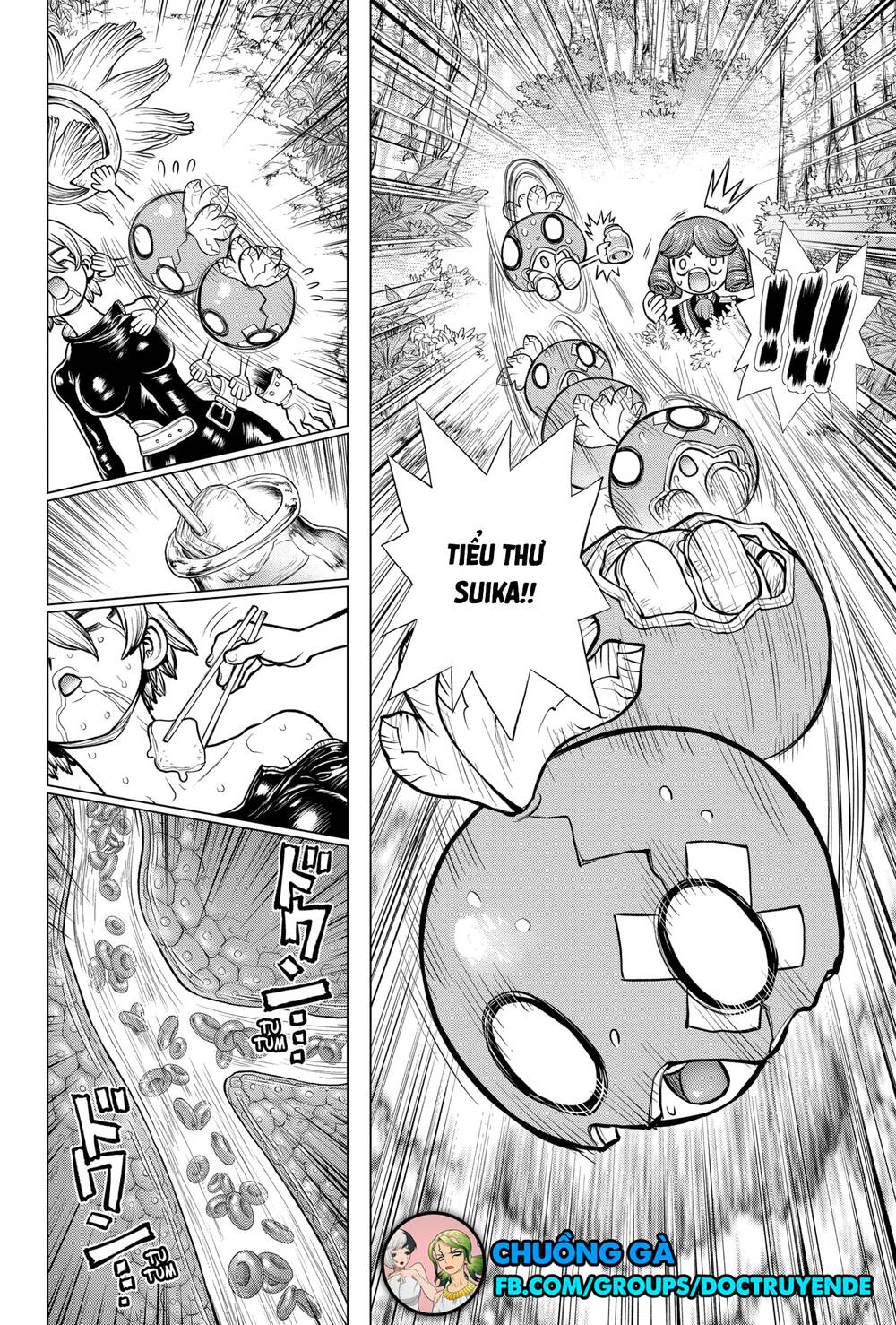 Dr.Stone Chapter 185 - Trang 2