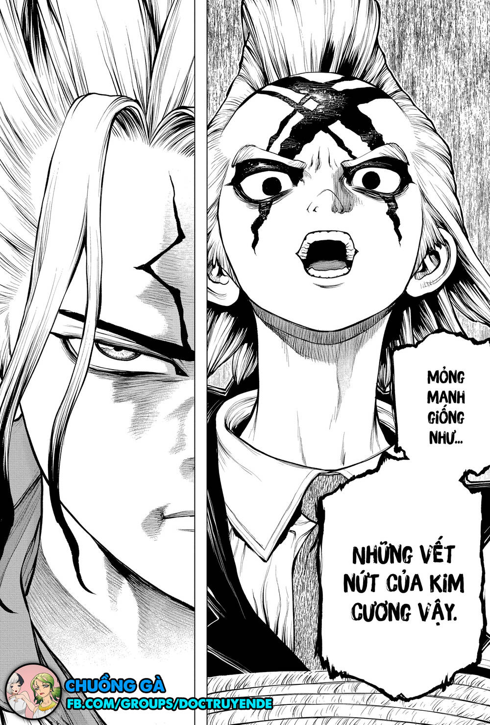 Dr.Stone Chapter 185 - Trang 2