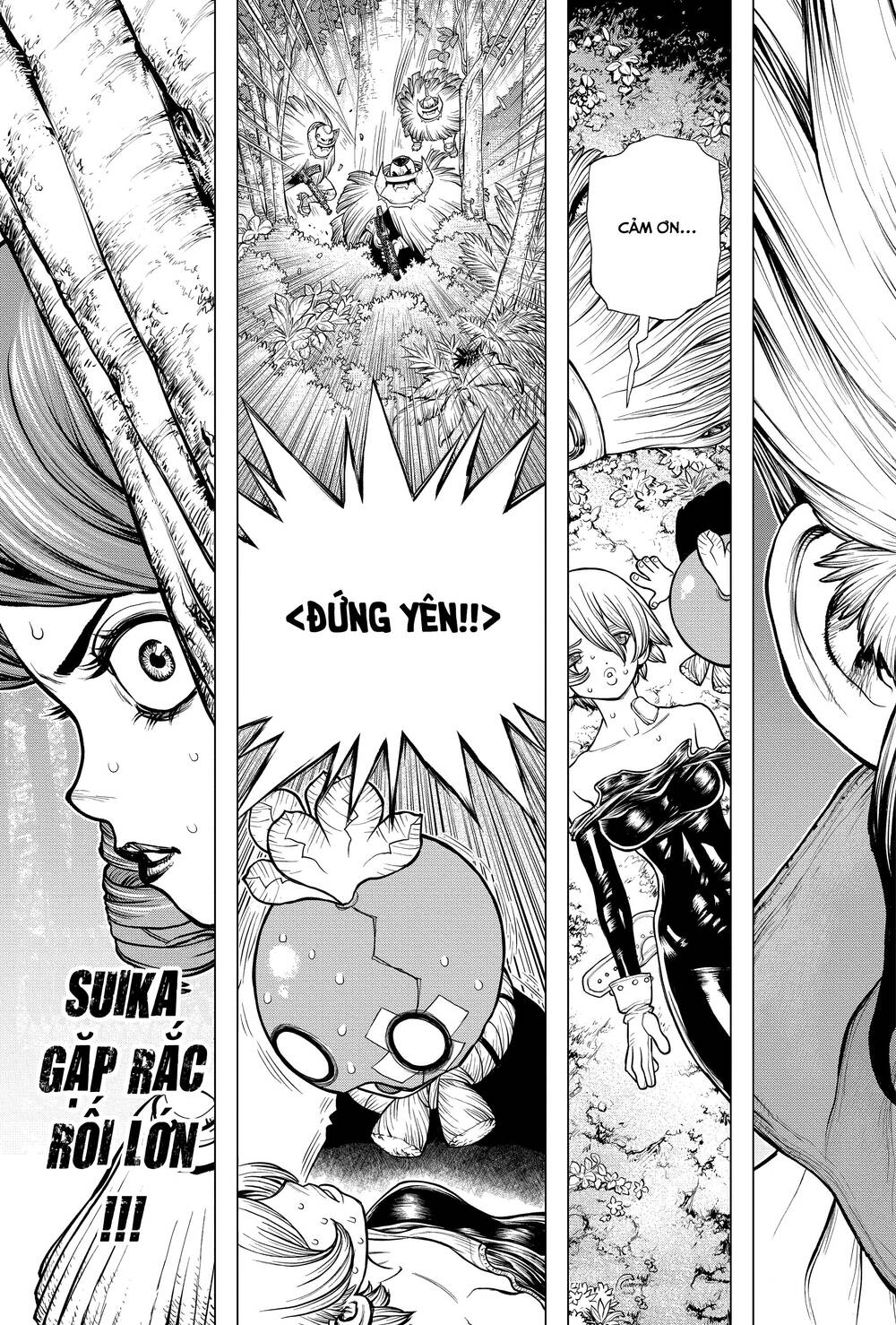 Dr.Stone Chapter 185 - Trang 2